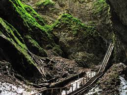 In toiul verii caldura sta departe de gheata pesterii ce are un volum de 75000 m2, grosimea medie fiind de. PeÈ™tera GheÈ›arul ScÄƒriÈ™oara Trecator Prin Lume