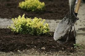 Cypress heartwood, melaleuca, eucalyptus, southern tidewater red cypress and california redwood decrease a termite's chance of. Mulch Upper Coomera Landscape Supplies Coomera Pimpama Oxenford Helensvale Runaway Bay Hope Island Jacobs Well Wongawallan