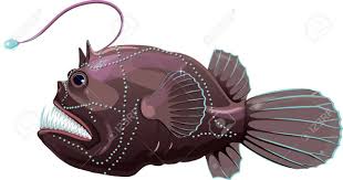 deep sea anglerfish isolated on white vector illustration