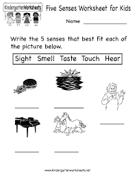 Kindergarten Five Senses Worksheet For Kids Printable Five Senses Worksheet Free Science Worksheets Science Worksheets