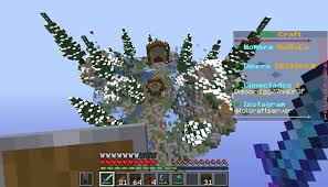 It's a pretty affordable server hosting . City Craft Minecraft Server