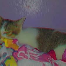 Maybe you would like to learn more about one of these? Jeling Instagram Posts Photos And Videos Picuki Com