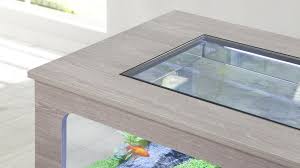 A coffee table aquarium does exactly what it says on the tin! Aquatable Aquatlantis Aquarium Aquariums Terrariums Accessories Manufacturing