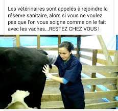 Infos légales sur clinique v¿t¿rinaire des forges entreprise. Clinique Veterinaire Du Mas 10 Rue Bernard Saisset Pamiers 2021