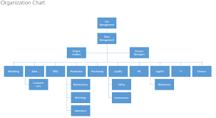 Organization Chart Bpa Solutions