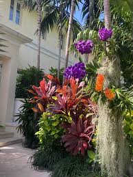 Maybe you would like to learn more about one of these? 610 Key West Tropical Gardens Ideas In 2021 Forest Plants Flowering Vines Key West