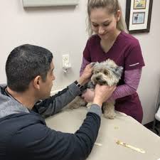 Where is tlc pet hospital in albuquerque nm? Tlc Animal Hospital 13 Photos 36 Reviews Veterinarians 1851 Lee Trevino Dr El Paso Tx Phone Number