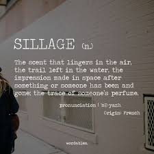 The Dictionary Of Obscure Sorrows Google Search With Images Seductive Words Words To Describe Yourself Unusual Words