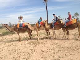 Terms in this set (10). Travel To Morocco The Adventures Of Team Kezmoh