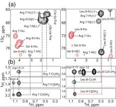 = 0.43294 netherlands antillean guilder (ang). Point Mutations In The Hiv 1 Matrix Protein Turn Off The Myristyl Switch Sciencedirect