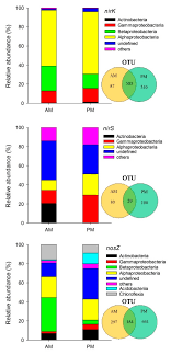 The Structure and Species Co-Occurrence Networks of Soil Denitrifying  Bacterial Communities Differ Between A Coniferous and A Broadleaved Forests