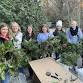 Wreath Making Workshops event image