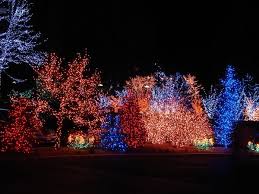 Christmas Lights Hanging Christmas Lights Christmas Lights Etc Christmas Light Displays