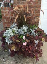 Purple Fountain Grass Sweet Potato Vine Dusty Miller Some Calibrachoa Petunias Vinca Garden Inspiration Fountain Grass Container Plants