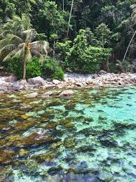 We went to a nearby seafood restaurant for dinner later on. Travel Review Diving Into Pulau Perhentian Kecil Malaysia Raisa Reviews
