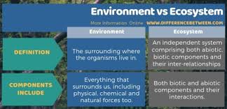 Read more although we can't solve the problems of the world, we can show up and be there to comfort others… Difference Between Environment And Ecosystem Compare The Difference Between Similar Terms