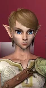 Link from Legend of Zelda (Twilight Princess era) as a Sim by HylianWolf --  Fur Affinity [dot] net