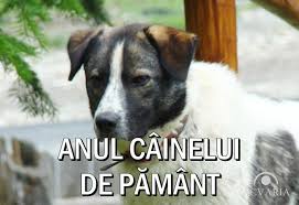 Citeste ultimele stiri despre cainele de pamant pe stirileprotv.ro. Horoscop Acvaria 16 02 2018 4 02 2019 Pe Cine Favorizeaza Anul Cainelui De Pamant