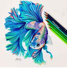 Pin By Sheri Gifford Pauline On 3d Art Pencil Drawings Of Animals Color Pencil Art Prismacolor Art
