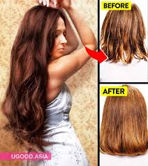 Discover ingredients that fit your hair needs like soothing aromatics & rejuvenating oils. Ingredients That Make Hair Thicker Archives Ugood