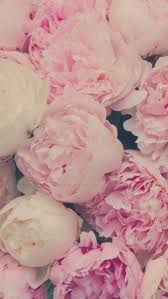Enjoy and share your favorite beautiful hd wallpapers and background images. 240 Spring Iphone Wallpapers Ideas Iphone Wallpaper Phone Wallpaper Iphone Background