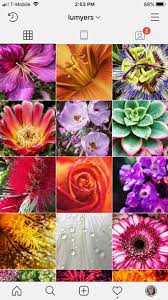 Get ftd® flower delivery today! What S The Best Instagram Image Size 2021 Complete Guide