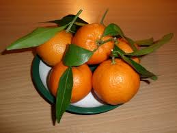 Image result for Citrus reticulata