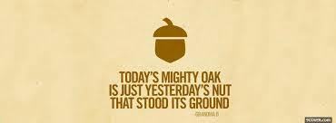 Pam owen explores the history of the mighty white oak, a wonderful tree that means so much to the piedmont. Mighty Oak Tree Quotes Quotesgram