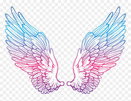 Wing Clipart Picsart Drawing Color Angel Wings Hd Png Download Vhv Connect the u shaped line to the nearest feathers using a series of small, connected u shaped lines. drawing color angel wings hd png
