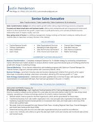 Senior sales executive resume examples & samples. Sales And Marketing Cv Sample