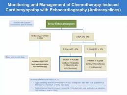 research cardiology md anderson cancer center