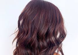 Black hair color with red and blonde highlights. 50 Burgundy Hair Colors To Copy In 2021