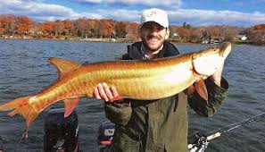 Check out our muskie selection for the very best in unique or custom, handmade pieces from our signs shops. Muskellunge Esox Masquinongy Everything You Should Know