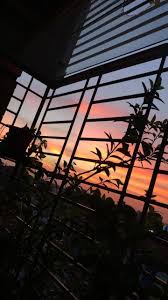 Aesthetic Sunset Wallpapers Wallpaper Cave Support us by sharing the content, upvoting wallpapers on the page or sending your own background. aesthetic sunset wallpapers wallpaper