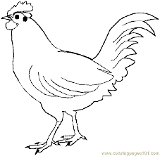 Print and color chinese new year pdf coloring books from primarygames. Free Rooster Pictures To Print Free Printable Coloring Page Chicken Coloring Page 0001 5 Anima Bird Coloring Pages Chicken Coloring Pages Chicken Coloring
