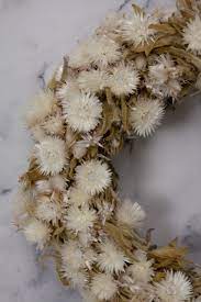 Dried flowers └ dried botanicals & potpourri └ floral crafts └ home arts & crafts └ crafts all categories antiques art automotive baby books business & industrial cameras & photo cell phones & accessories clothing, shoes & accessories coins & paper money collectibles computers/tablets. Home Page Kent Flowers Cc Dried Flowers South Africa