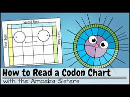 How To Read A Codon Chart Youtube