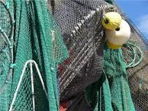 History of Fishing Net - Different Types of Fishing Nets