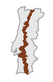 The mechanisms, treatment strategies, and impact on athletic performance remain uncertain, despite the high incidence of doms. Portugal De Norte A Sul Pela Mitica Estrada Nacional 2 1Âª Edicao Foge Comigo