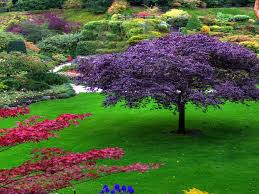 They are bright, desired, pleasantly smell. Beautiful Flower Garden Wallpapers Top Free Beautiful Flower Garden Backgrounds Wallpaperaccess