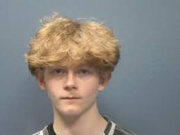 MCGLAUGHN, LARRY C Charges: VIOLATION OF PROBATION CIRCUIT This information  and more is available at isoms.seviercountytn.org:9000/Jail?hours