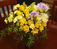 Daffodil Delight In 2021 Standard Roses Daffodils Mini Carnations