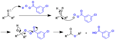 *please select more than one item to compare. Baeyer Villiger Oxidation Chem Station Int Ed