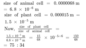 Maybe you would like to learn more about one of these? The Size Of An Animal Cell Is 0 0000068 M And The Size Of Aplant Cell Is 0 000015 M Find The Ratio Brainly In
