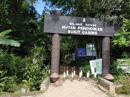 The bukit gasing forest reserve may just become your next favourite hang out spot. Bukit Gasing Hill For Jungle Trekking In Petaling Jaya Visit Malaysia