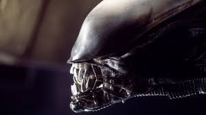 Alien Every Stage In The Xenomorphs Gruesome Life Cycle