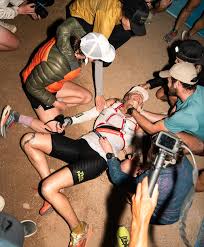 Image result for Tarenna junodii