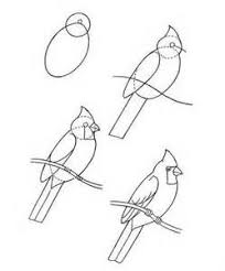 Bird Drawing For Kids Step By Step Learn How To Draw A Cardinal Bird With These Easy Steps Is It Obvious Bird Drawings Drawings Art Lessons