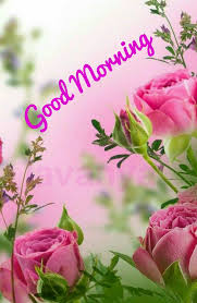 Best good morning pink flower images hd free download for girls. Good Morning Pink Flowers Vtwctr