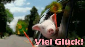 Die prüfung wird weltweit nach einheitlichen kriterien durchgeführt und ausgewertet. Viel Gluck Gifs 45 Animierte Bilder Von Glucksbringer Kostenlos